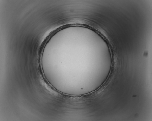 X0000111491116200907281220