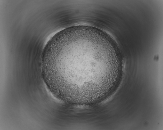 X0000111491117200907281220