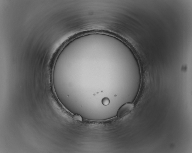 X0000111491118200907281220