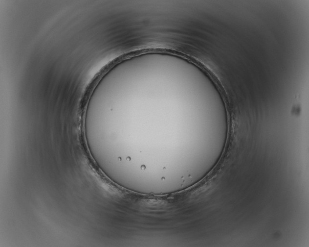 X0000111491119200907281220