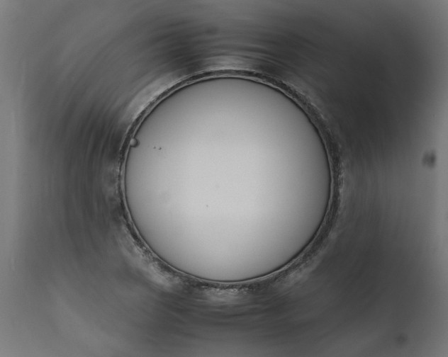 X0000111491121200907281220