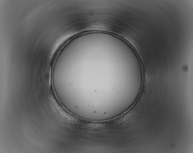 X0000111491123200907281220