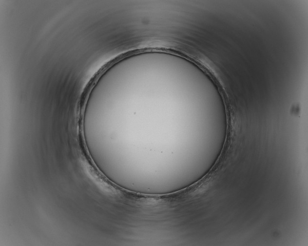 X0000111491124200907281220