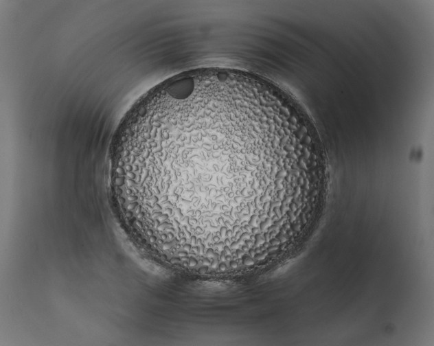 X0000111491125200907281220