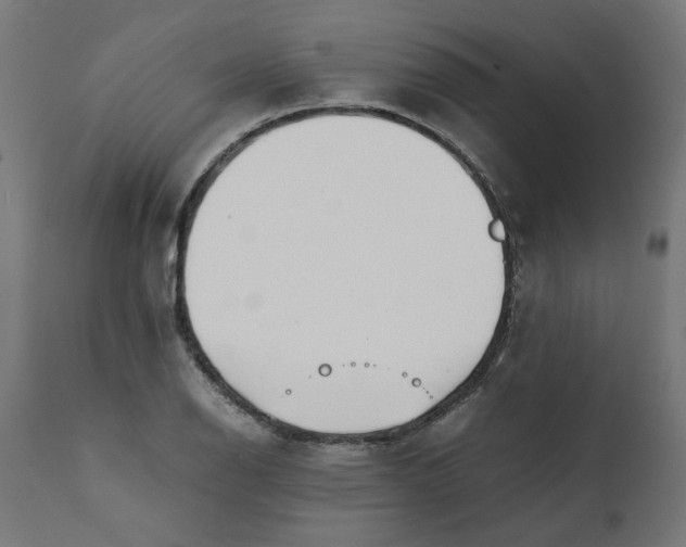 X0000111491126200907281220