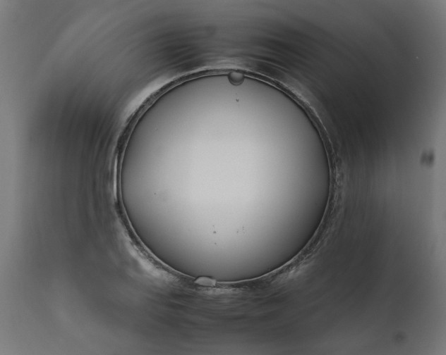 X0000111491127200907281220