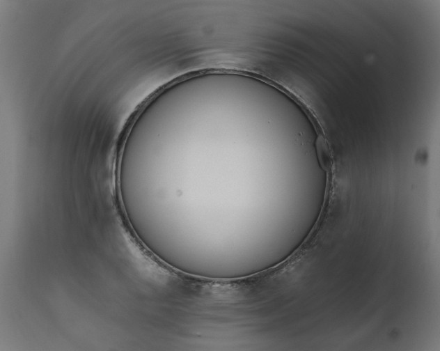 X0000111491128200907281220