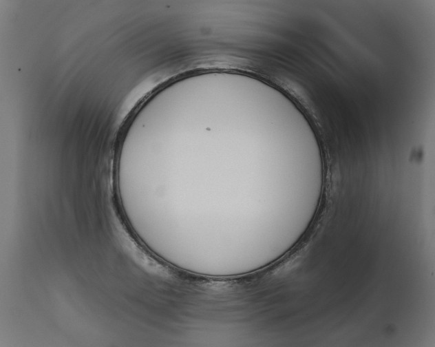 X0000111491130200907281220