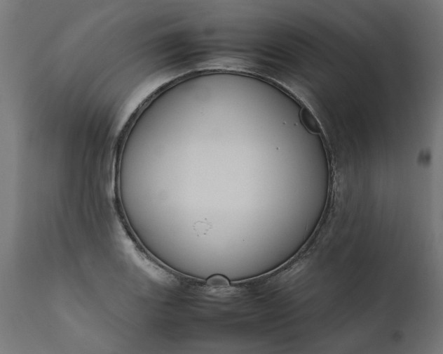 X0000111491131200907281220