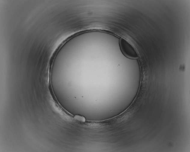 X0000111491132200907281220