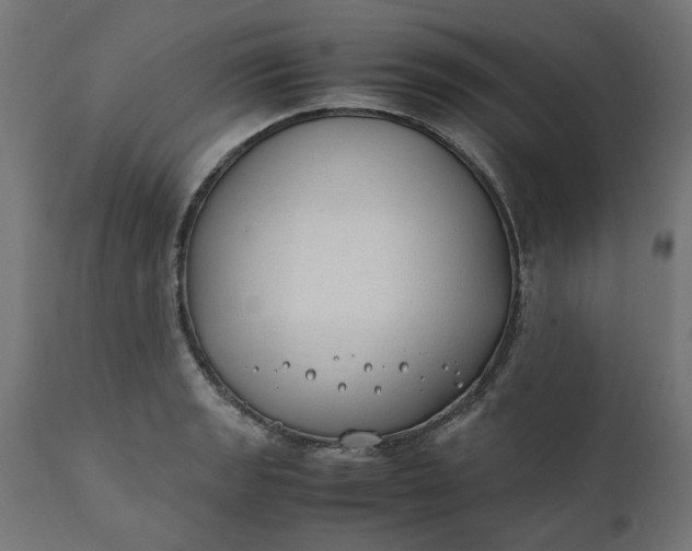 X0000111491133200907281220