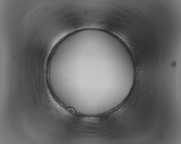 X0000111491135200907281220