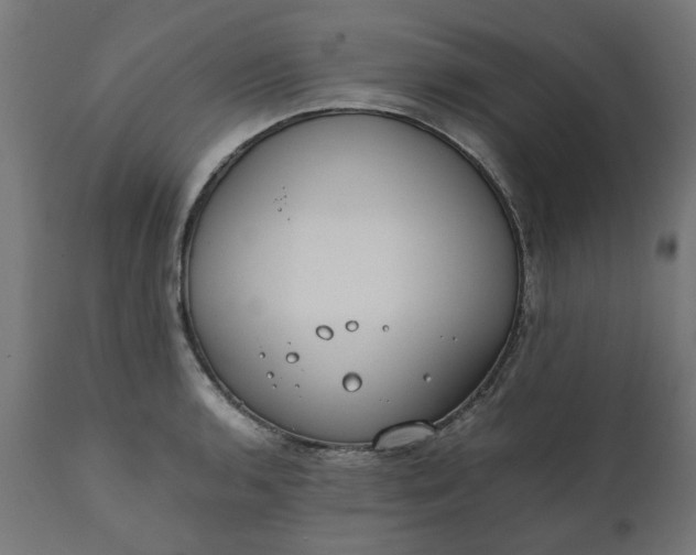 X0000111491136200907281220