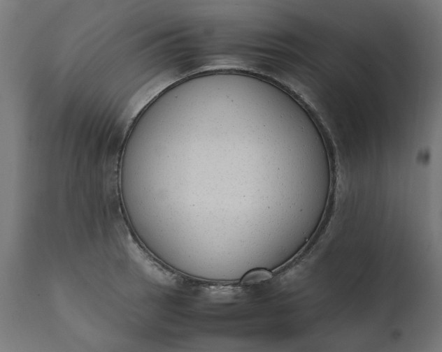 X0000111491137200907281220