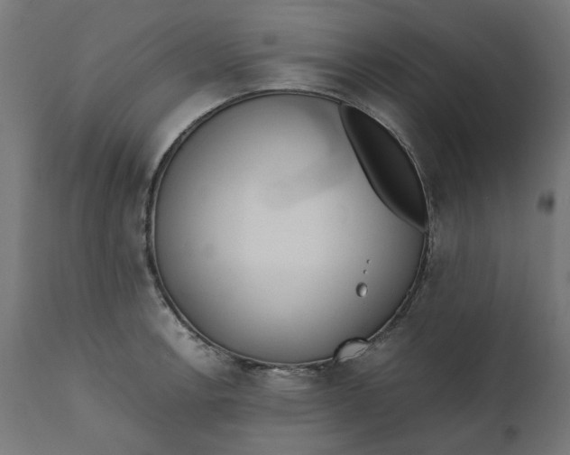 X0000111491138200907281220