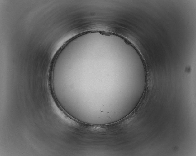 X0000111491139200907281220