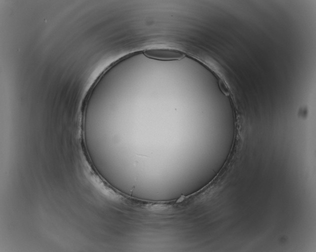 X0000111491140200907281220