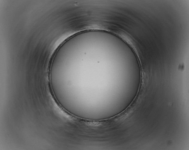 X0000111491141200907281220