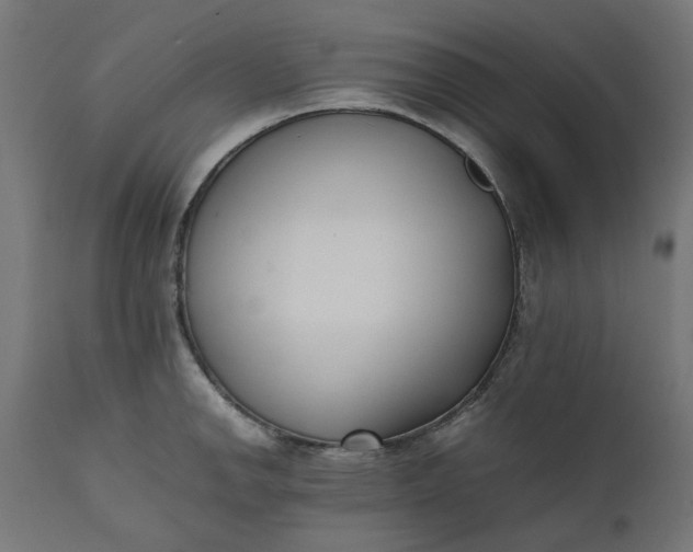 X0000111491142200907281220