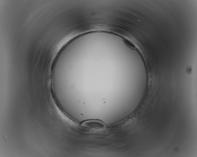 X0000111491143200907281220