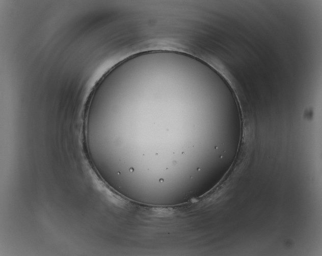 X0000111491144200907281220