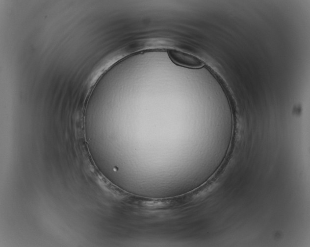 X0000111491145200907281220