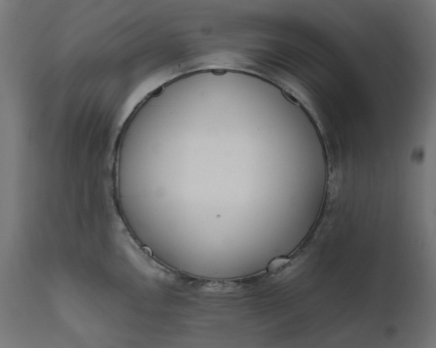 X0000111491146200907281221