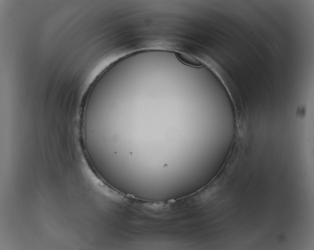 X0000111491147200907281221