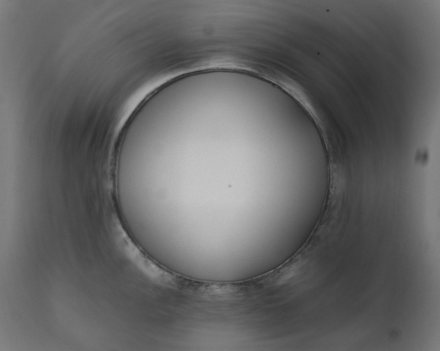 X0000111491148200907281221