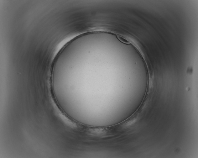 X0000111491149200907281221