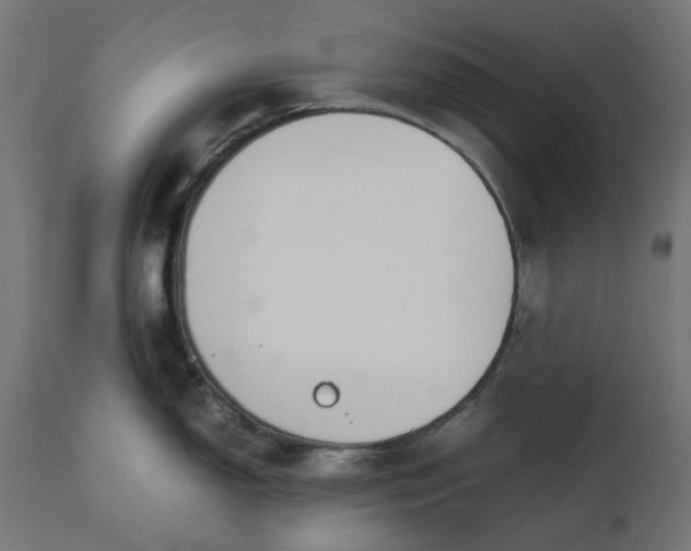 X0000111491150200907281221