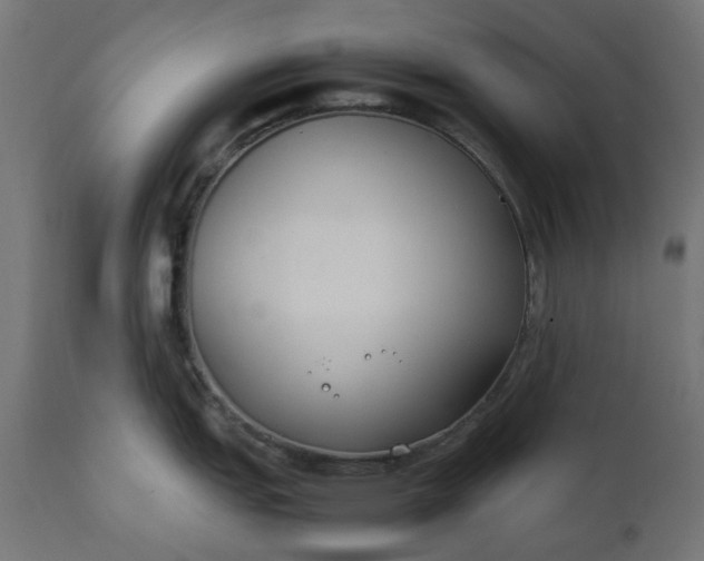 X0000111491151200907281221