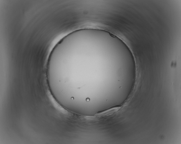 X0000111491152200907281221