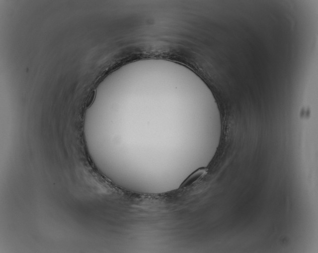 X0000111491153200907281220