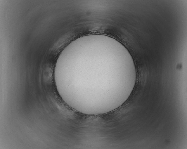 X0000111491154200907281220