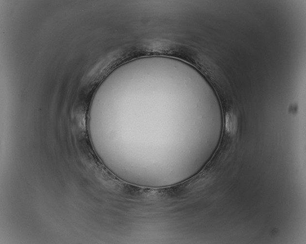 X0000111491155200907281220