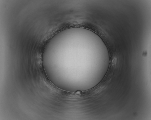 X0000111491156200907281220