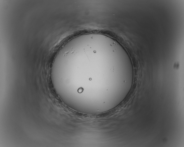 X0000111491157200907281220