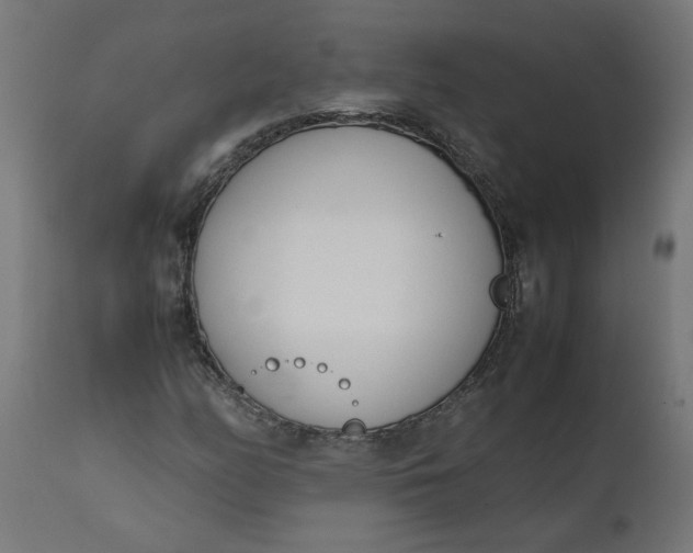 X0000111491158200907281220