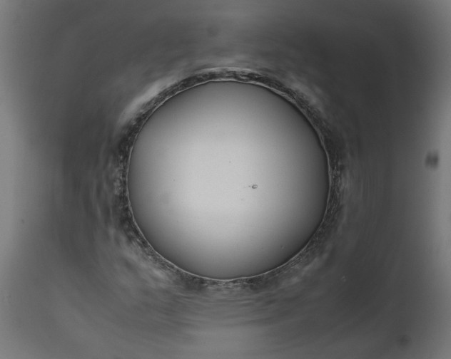 X0000111491159200907281220