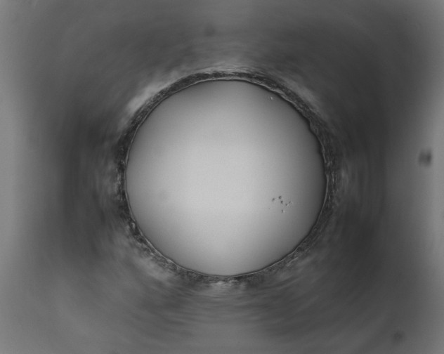 X0000111491160200907281220