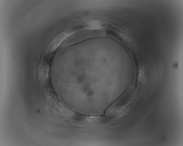 X0000111491161200907281220