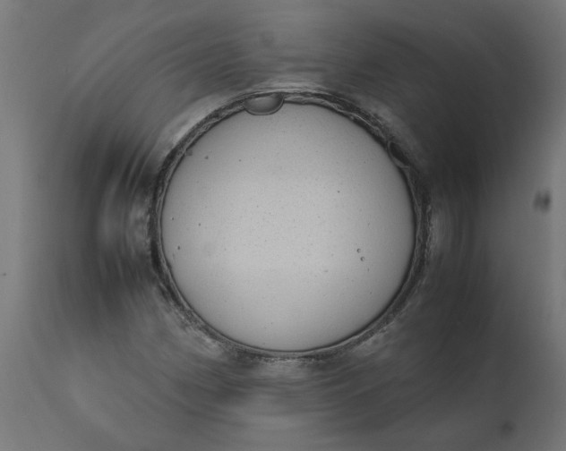 X0000111491162200907281220