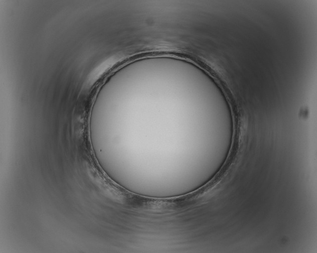 X0000111491163200907281220