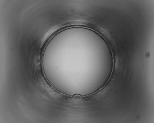 X0000111491164200907281220