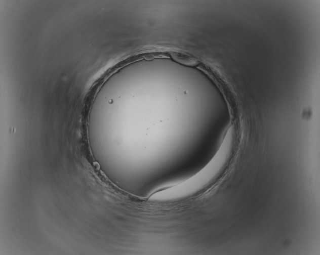 X0000111491165200907281220