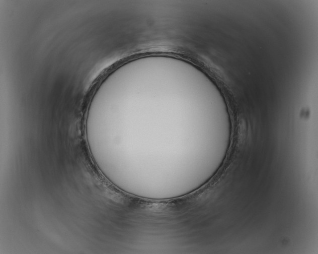 X0000111491166200907281220