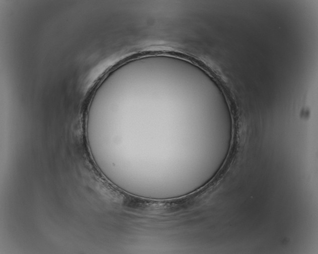 X0000111491167200907281220