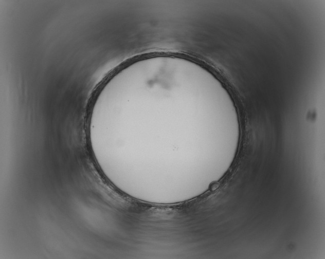 X0000111491168200907281220