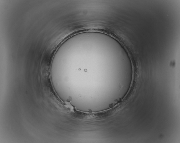 X0000111491169200907281220